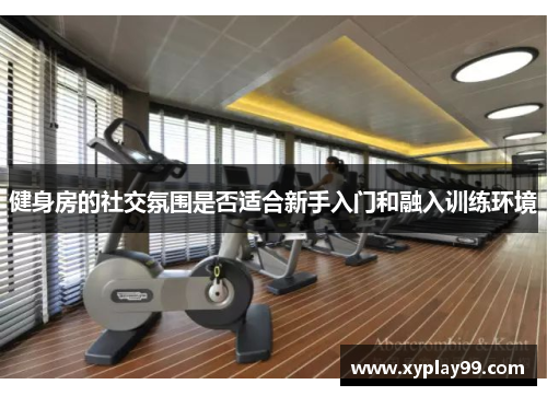 健身房的社交氛围是否适合新手入门和融入训练环境