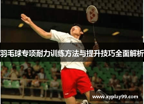 羽毛球专项耐力训练方法与提升技巧全面解析