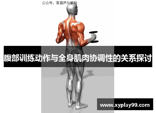 腹部训练动作与全身肌肉协调性的关系探讨
