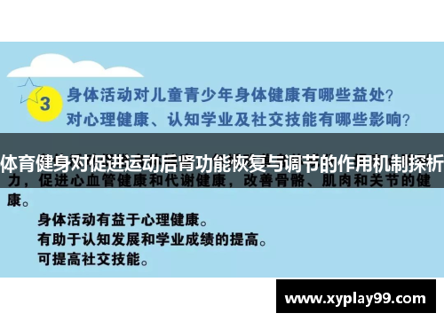 体育健身对促进运动后肾功能恢复与调节的作用机制探析