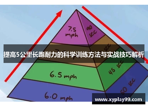 提高5公里长跑耐力的科学训练方法与实战技巧解析